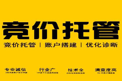 SEM竞价开户全攻略：实战案例分享
